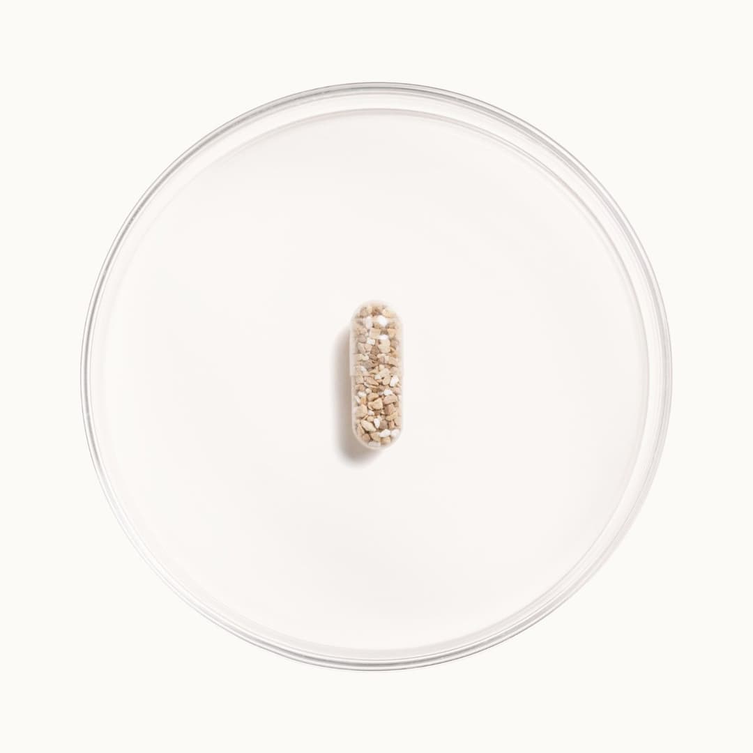 medicine capsule