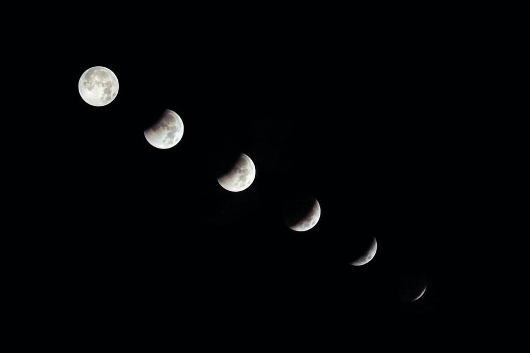 Understanding the Four Phases of the Menstrual Cycle: A Comprehensive Guide Understanding the Four Phases of the Menstrual Cycle: A Comprehensive Guide