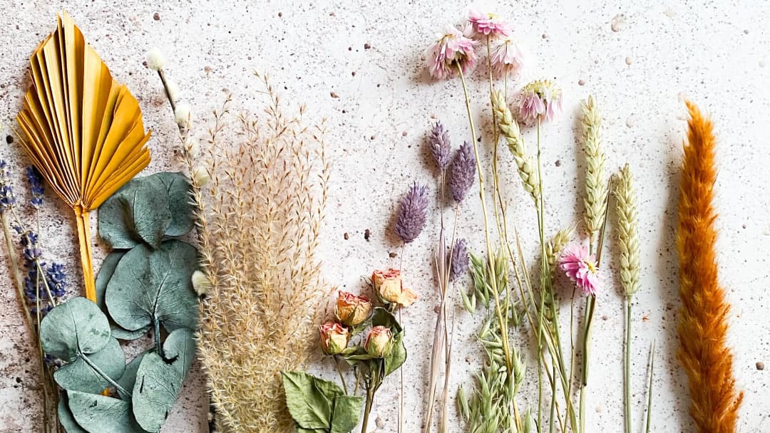 Dried flowers laid out on table Dried flowers laid out on table