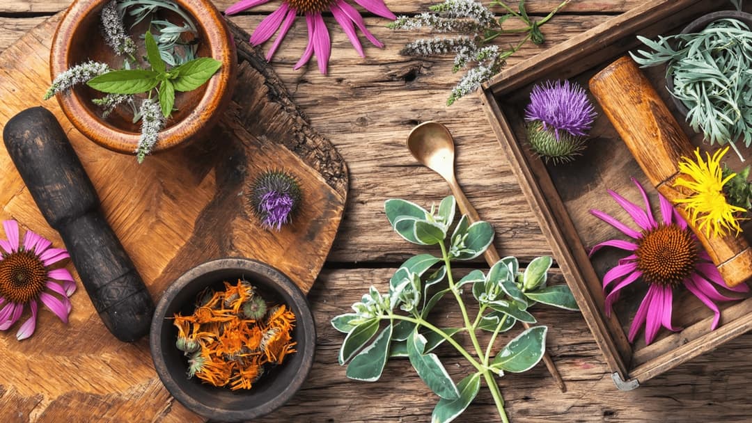 Flowers and herbs on a table with a mortar Flowers and herbs on a table with a mortar