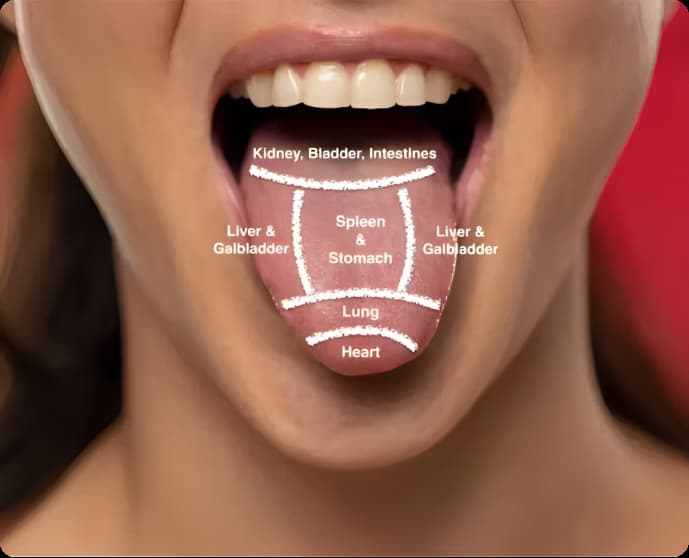 Tongue Health Tongue Health